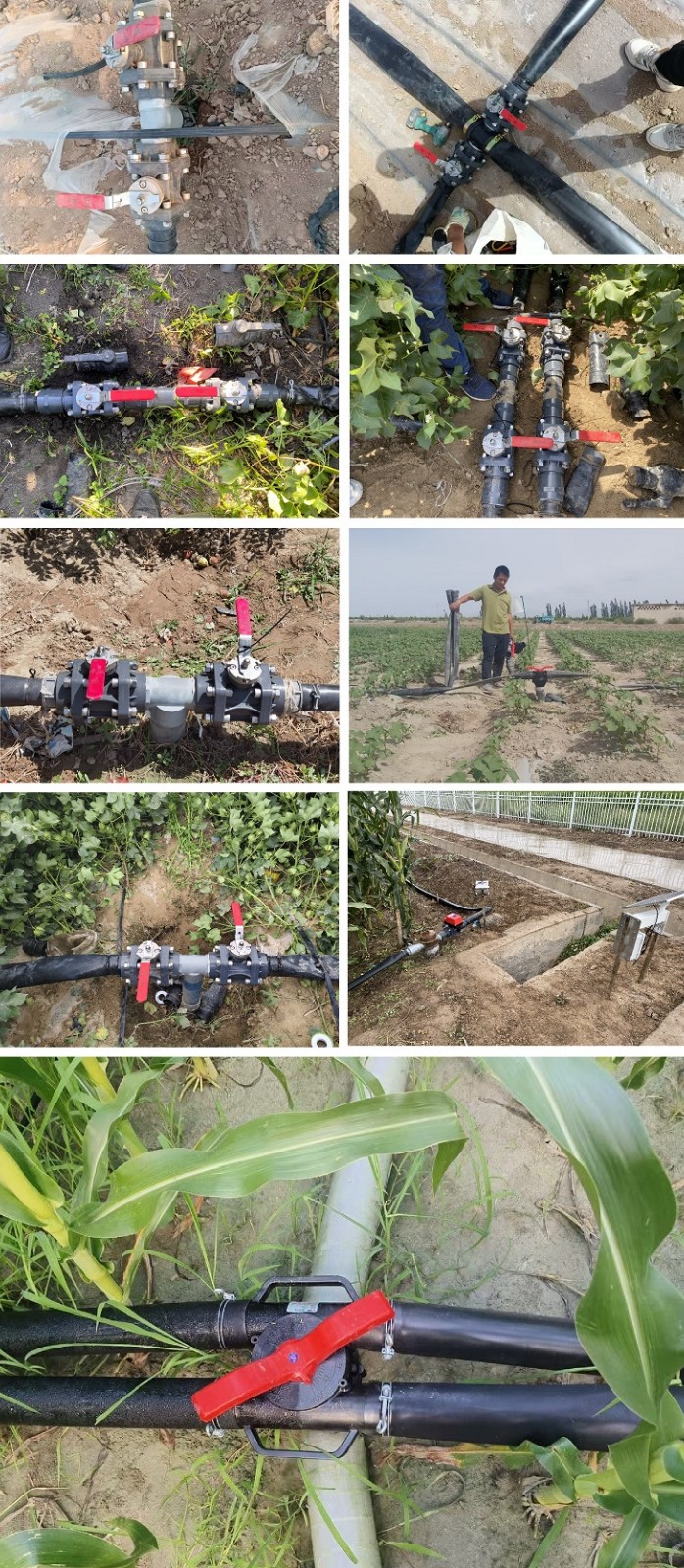 1764908609160937.jpg 301.新疆乌鲁木齐农业科技中心.jpg