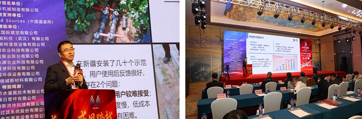 1765155241372329.jpg 401.JPG