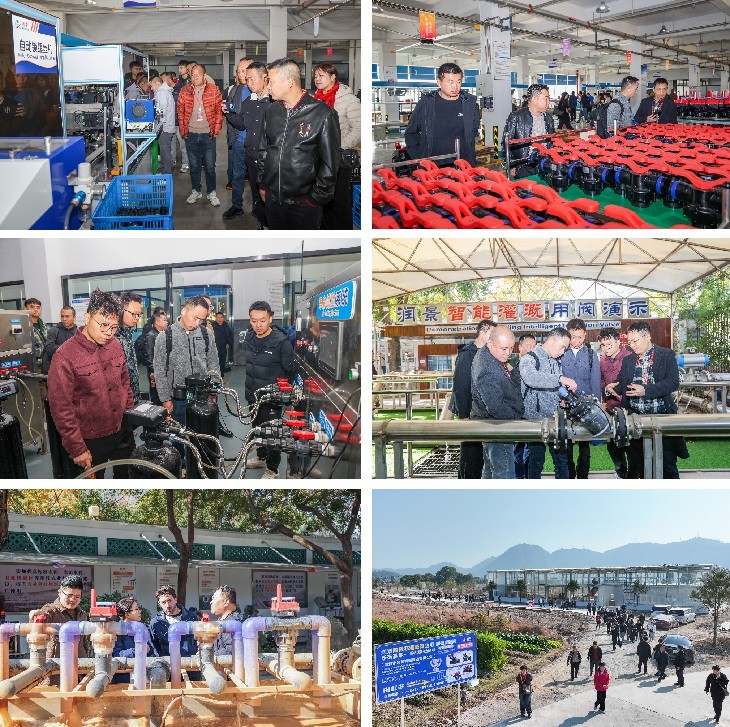 1765171731526347.jpg 202.jpg