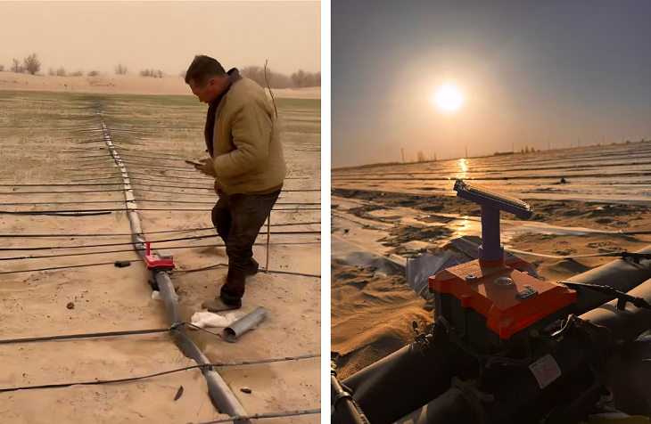 1776221968726216.png 202.png