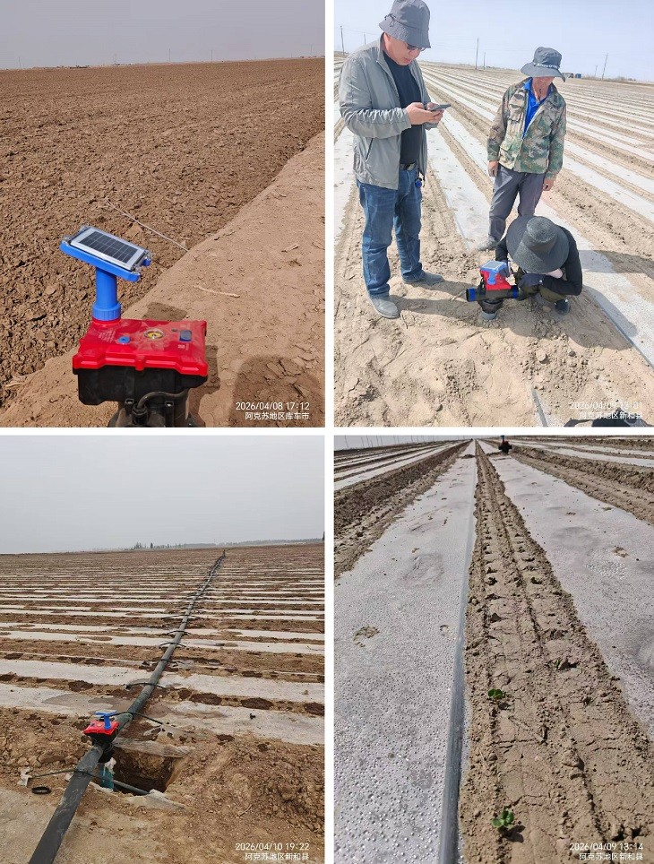 1776222069978592.jpg 601.jpg